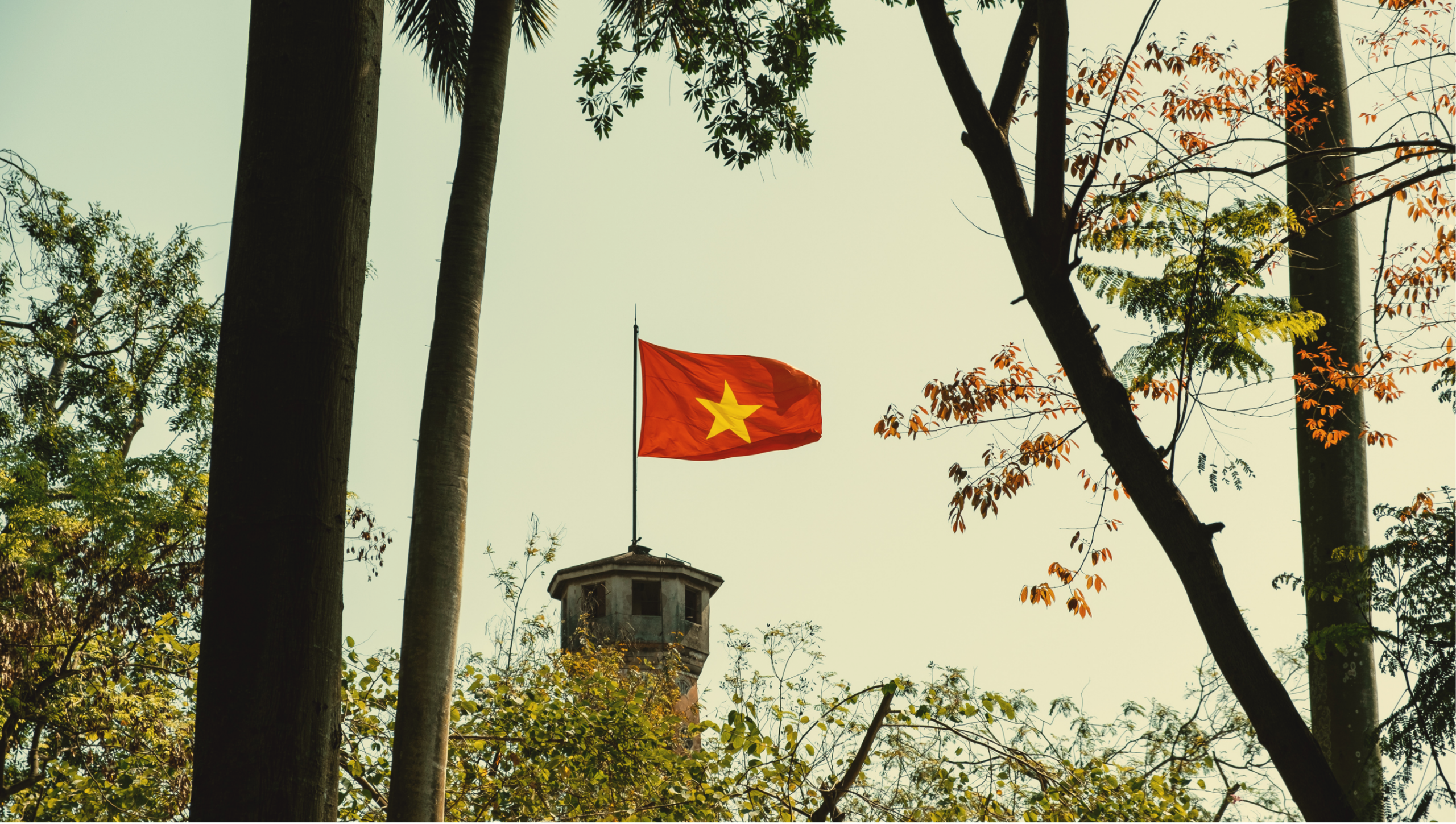 Mừng lễ Quốc Khánh 2/9/2026